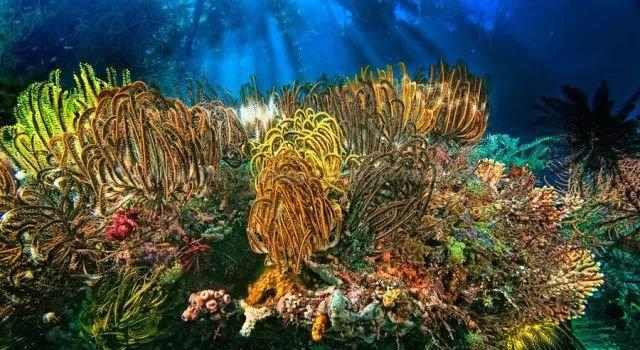 水利局局长经济责任审计会议表态发言材料范文